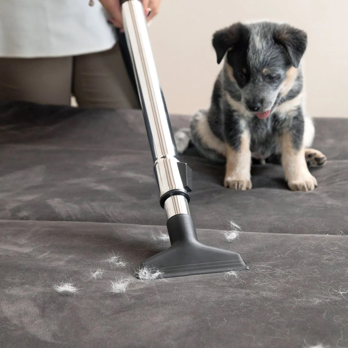 Aspiradora Sin Bolsa Karcher VCL 3 Cyclonic