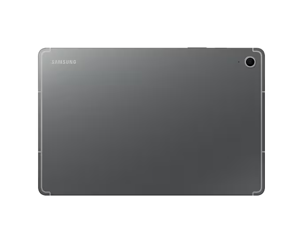 Samsung Galaxy Tab S10 FE (256 GB) Gris