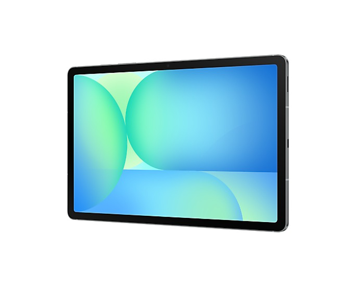 Samsung Galaxy Tab S10 FE (256 GB) Gris