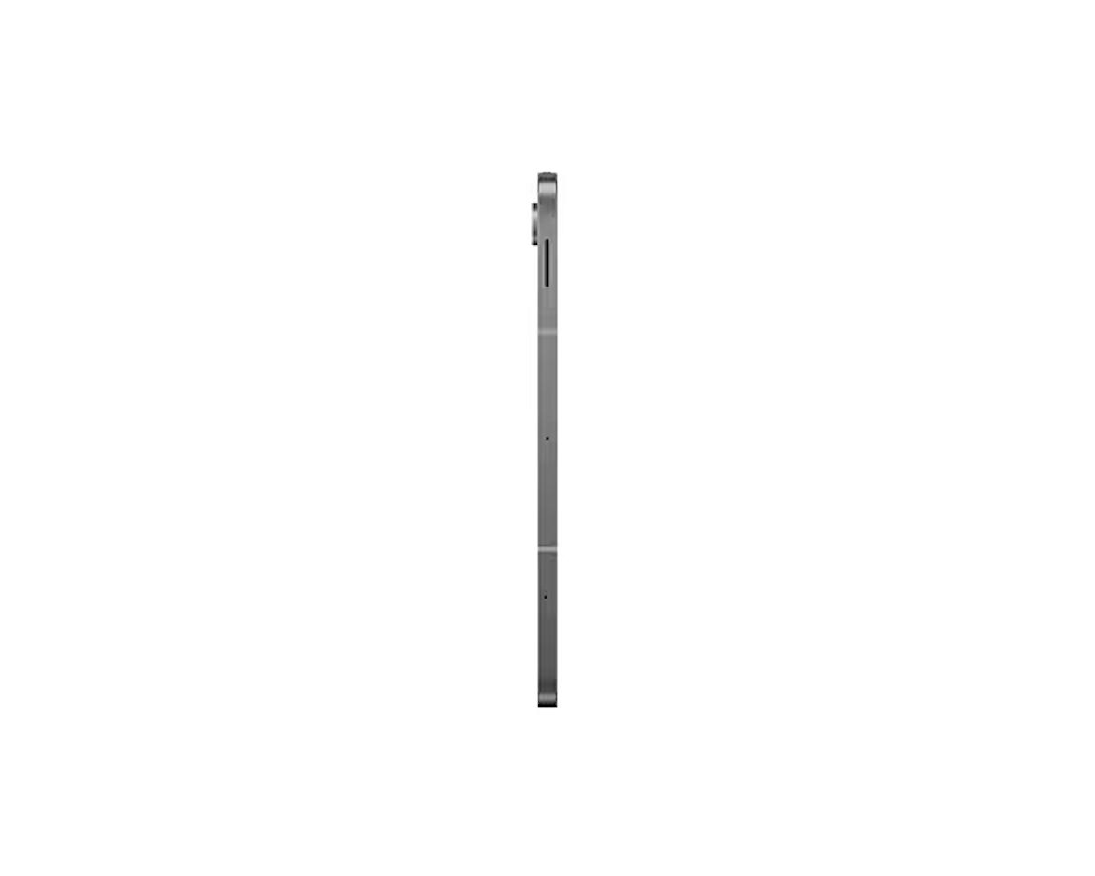 Samsung Galaxy Tab S10 FE (256 GB) Gris